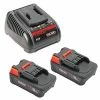 RIDGID Tools RIDGID 18V 2.5 Ah LI-Ion Batteries (X2) & Charger Set 66013 -Grey Pneumatic Sockets Shop rd66013 grax8qenfbauhfyk
